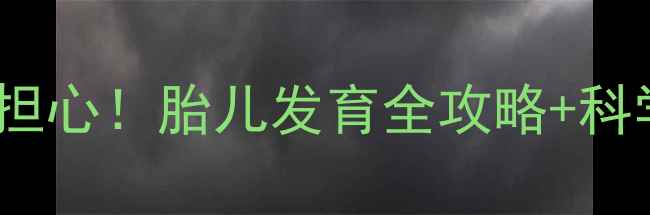 图片 ✨孕期贫血别担心！胎儿发育全攻略+科学补铁指南🌟1
