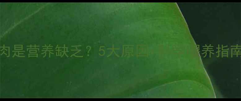 图片 宝宝偏爱肥肉是营养缺乏？5大原因+科学喂养指南（附食谱）