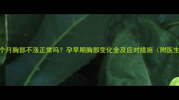 图片 怀孕三个月胸部不涨正常吗？孕早期胸部变化全及应对措施（附医生建议）