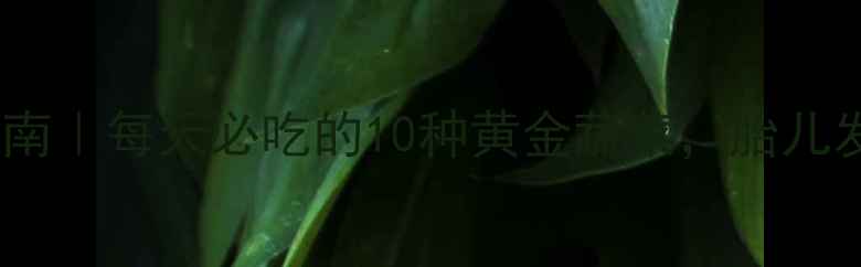 图片 🌟孕期营养指南｜每天必吃的10种黄金蔬菜，胎儿发育更健康！2