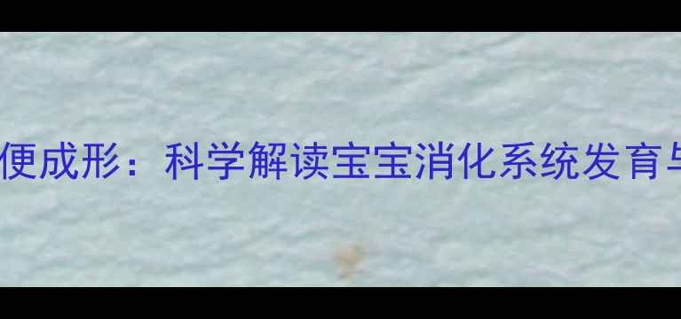 图片 0-6个月宝宝便便成形：科学解读宝宝消化系统发育与排便健康指南